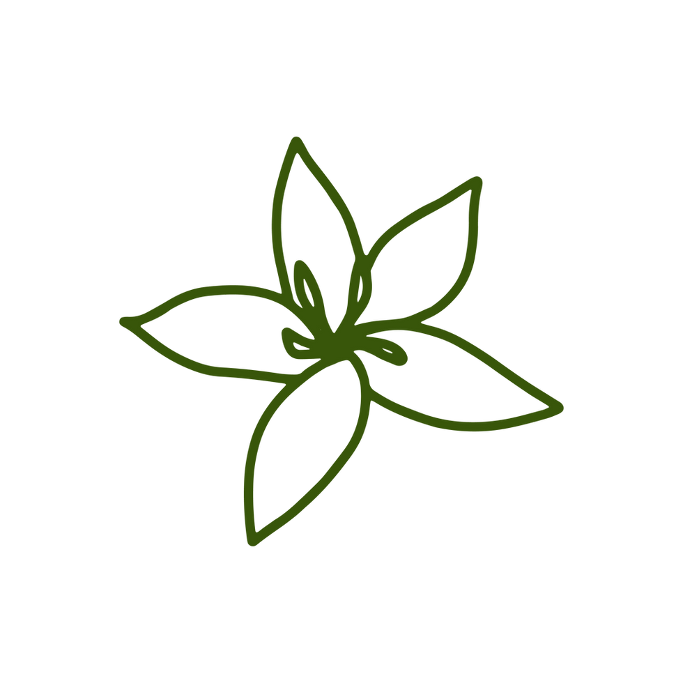 MOKAF Shop Specialty Coffee Beans Online mokaf-shop-specialty-coffee-beans-online